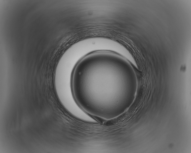 X0000097840701200803281224