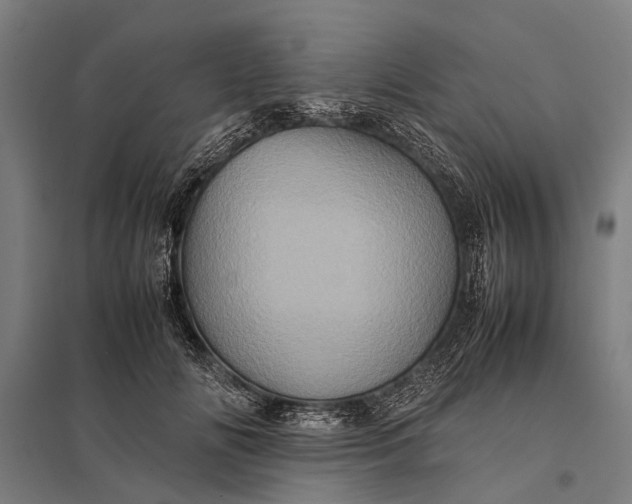 X0000097840702200803281224