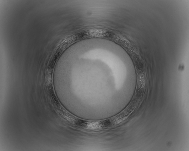 X0000097840705200803281224
