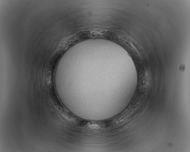 X0000097840706200803281224