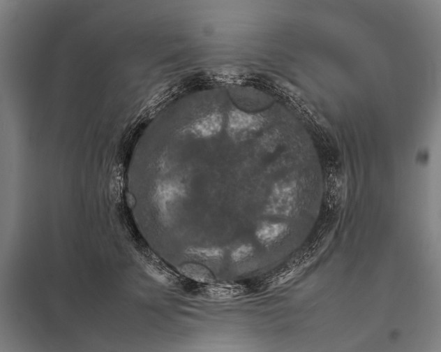 X0000097840707200803281224