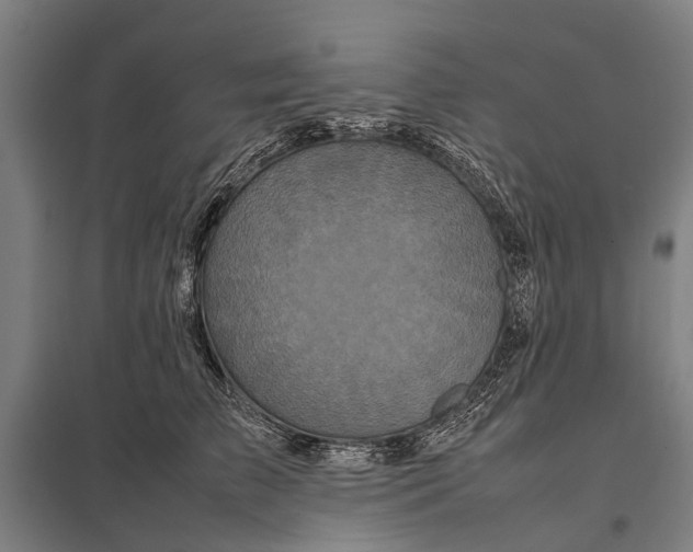 X0000097840709200803281224