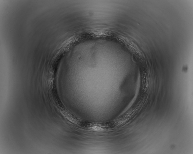 X0000097840710200803281224