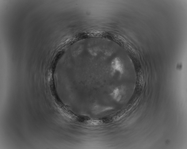 X0000097840711200803281224