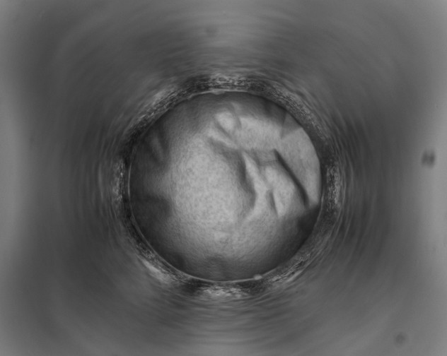 X0000097840712200803281224