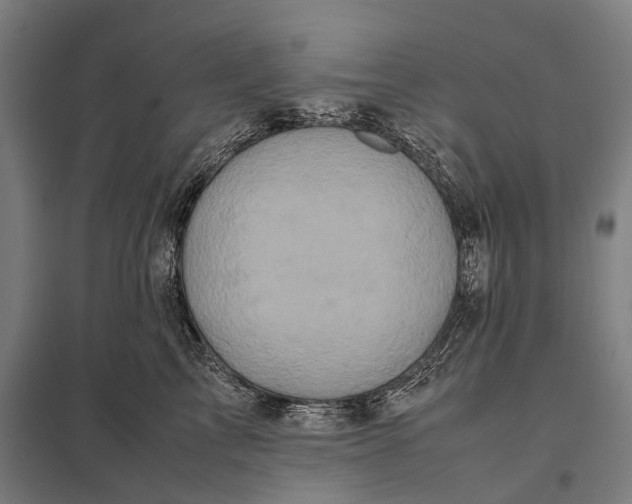 X0000097840713200803281224