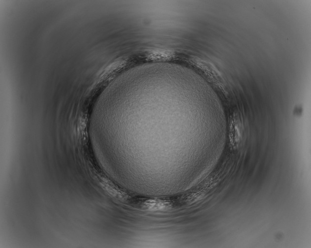 X0000097840714200803281224