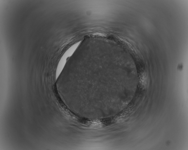 X0000097840715200803281224
