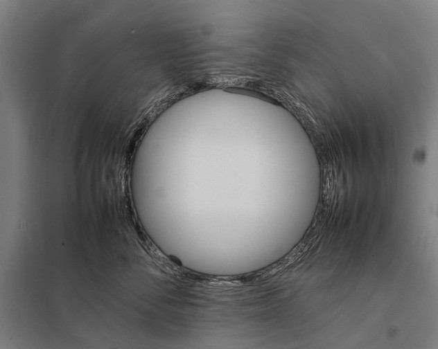 X0000097840716200803281224