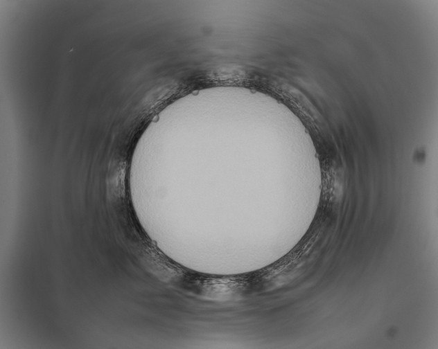 X0000097840717200803281224