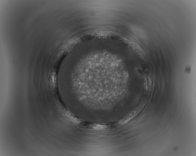 X0000097840718200803281224