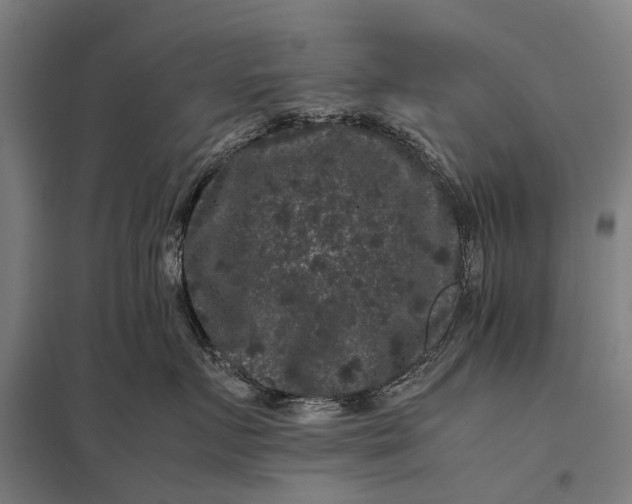 X0000097840719200803281224