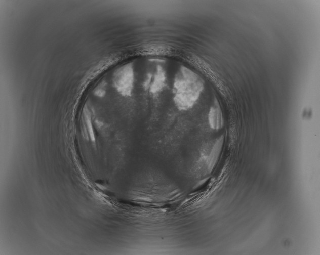 X0000097840721200803281223