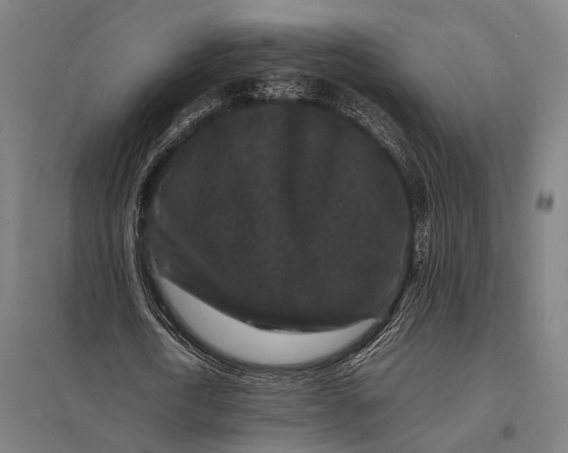 X0000097840722200803281223