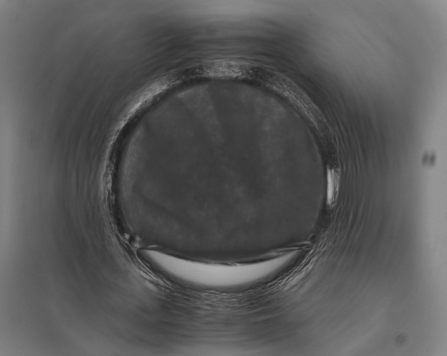 X0000097840723200803281223