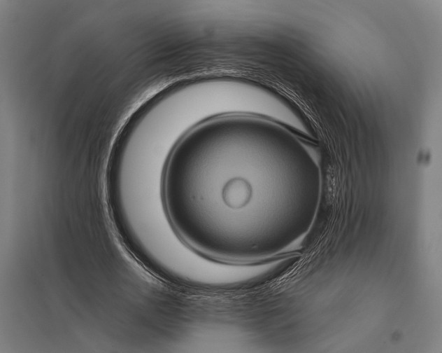 X0000097840726200803281223