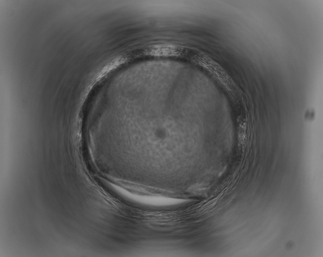 X0000097840727200803281223