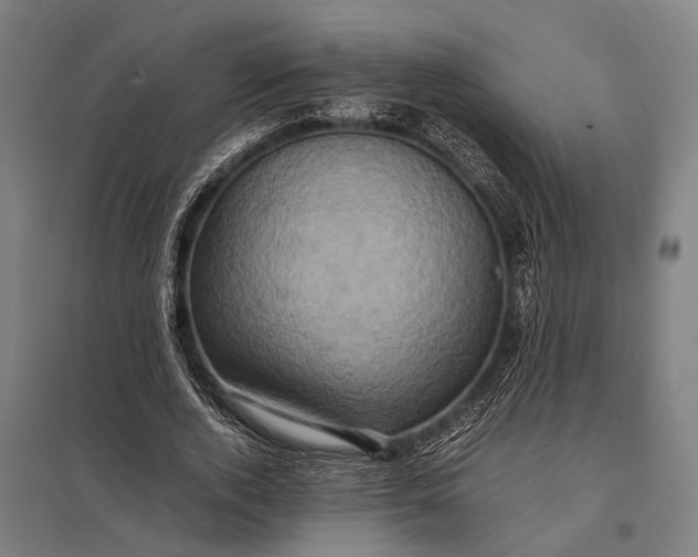 X0000097840728200803281223