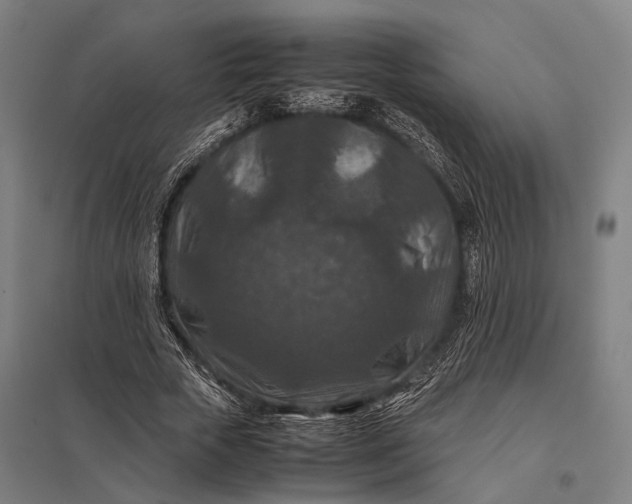 X0000097840729200803281223