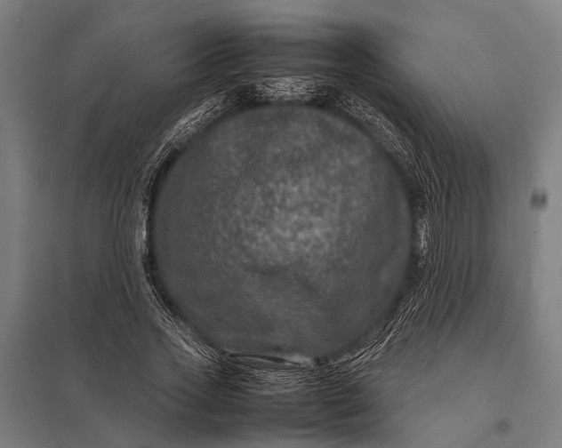 X0000097840733200803281223