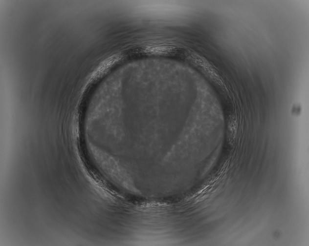 X0000097840734200803281223