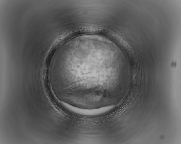 X0000097840736200803281223