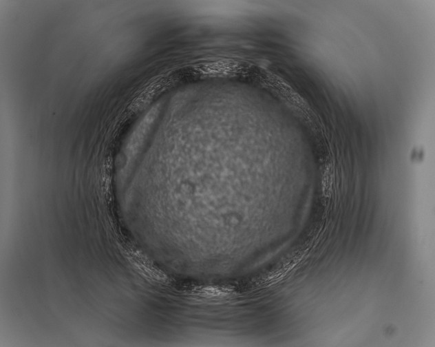 X0000097840737200803281223