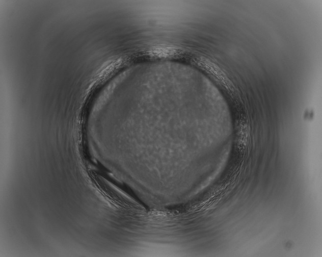X0000097840738200803281223