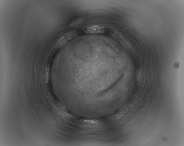 X0000097840741200803281223