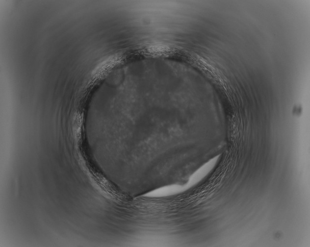 X0000097840742200803281223