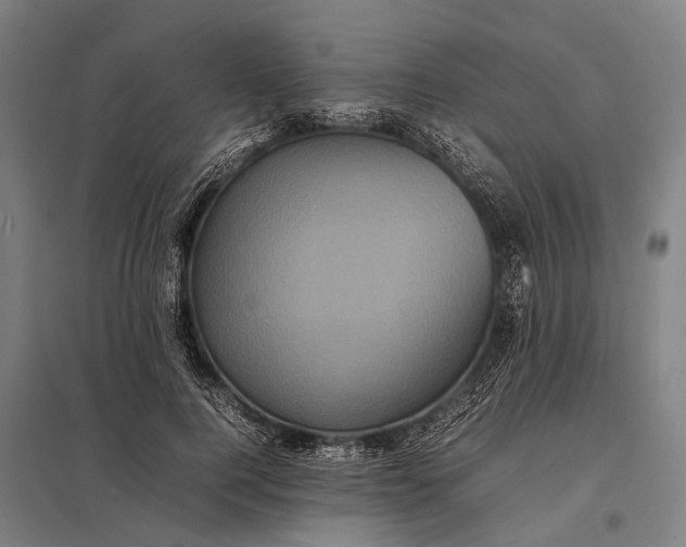 X0000097840744200803281223