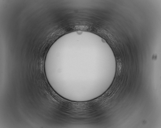 X0000097840745200803281223