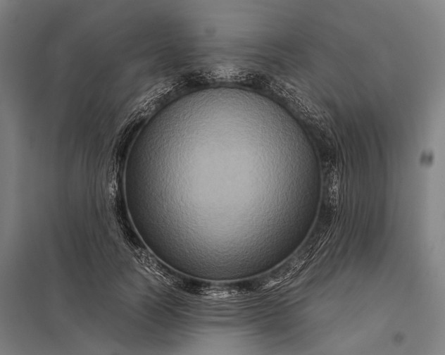 X0000097840746200803281223