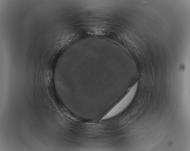 X0000097840747200803281223