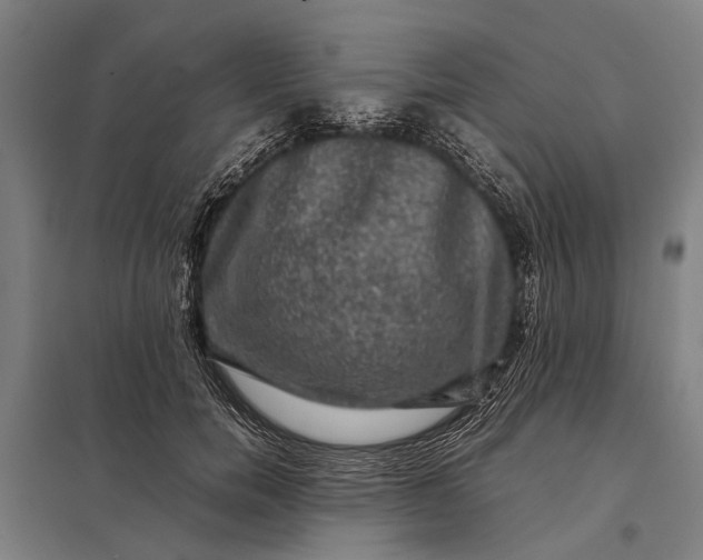 X0000097840750200803281223
