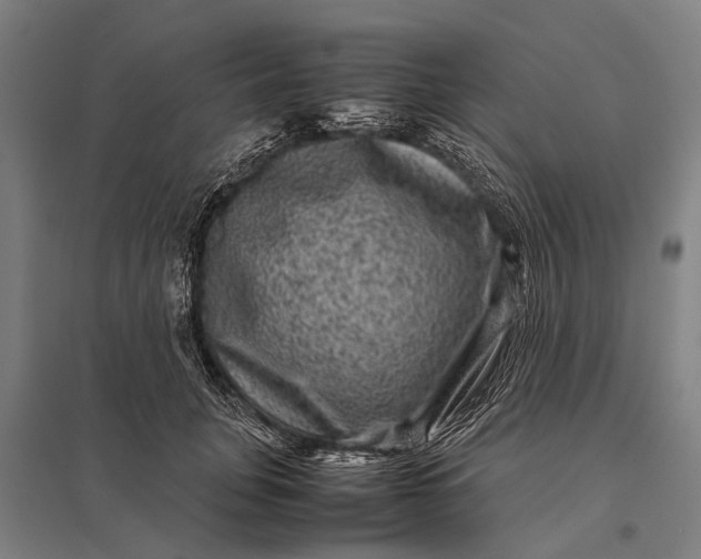 X0000097840751200803281223