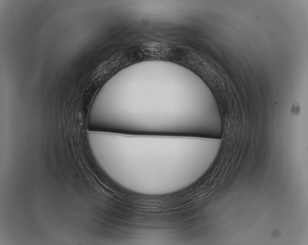 X0000097840752200803281223