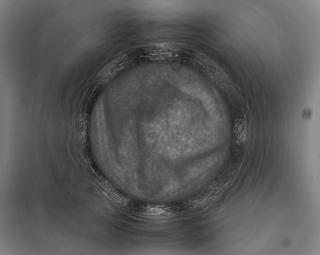 X0000097840753200803281223
