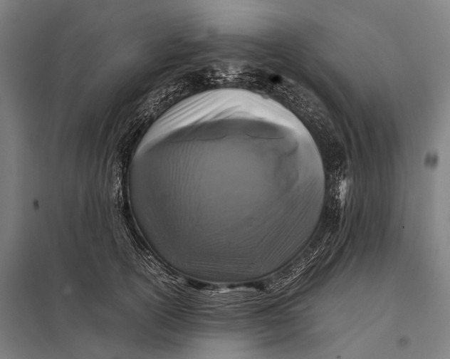 X0000097840754200803281223