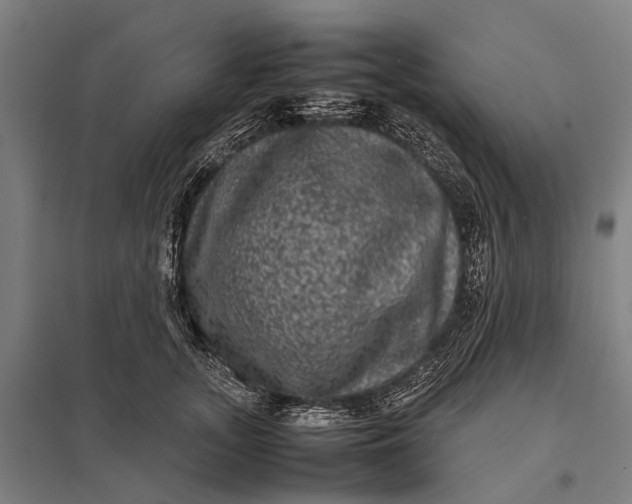 X0000097840755200803281224