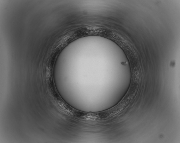 X0000097840756200803281224