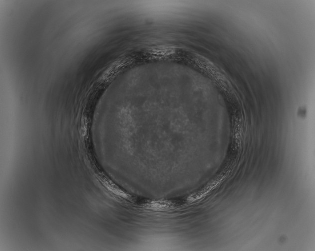 X0000097840758200803281224