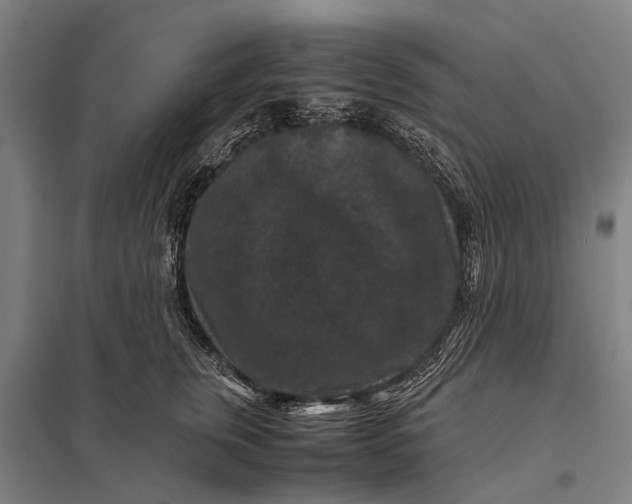 X0000097840759200803281224