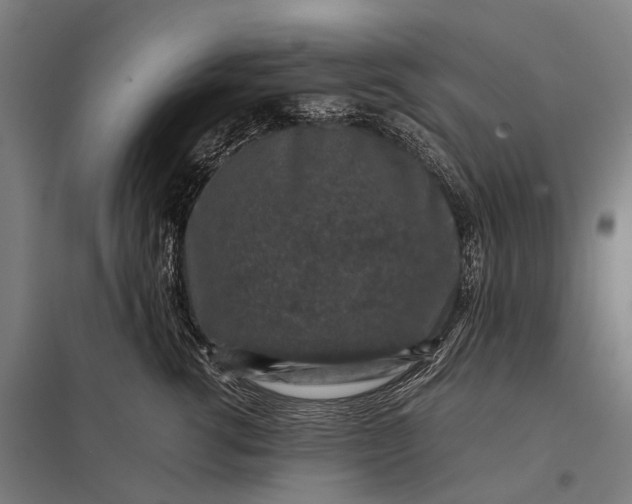 X0000097840762200803281224