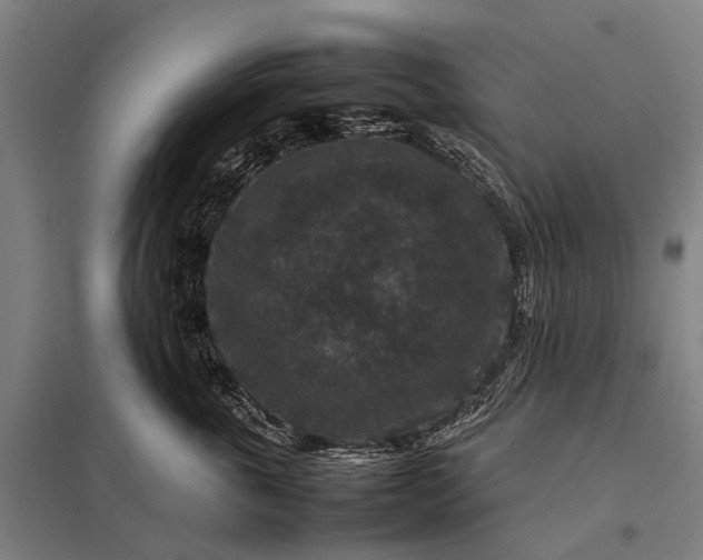 X0000097840763200803281224