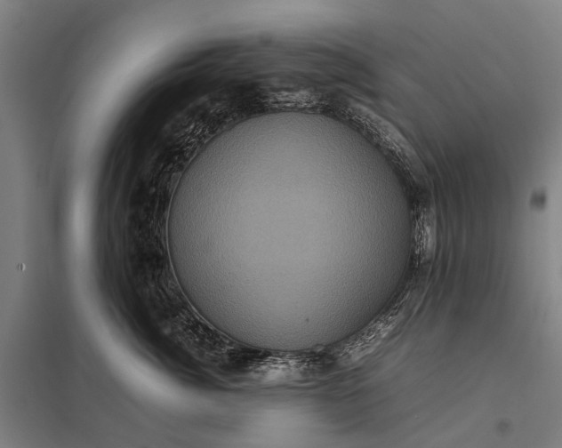 X0000097840764200803281224