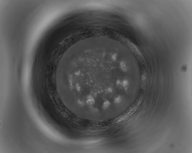 X0000097840765200803281224