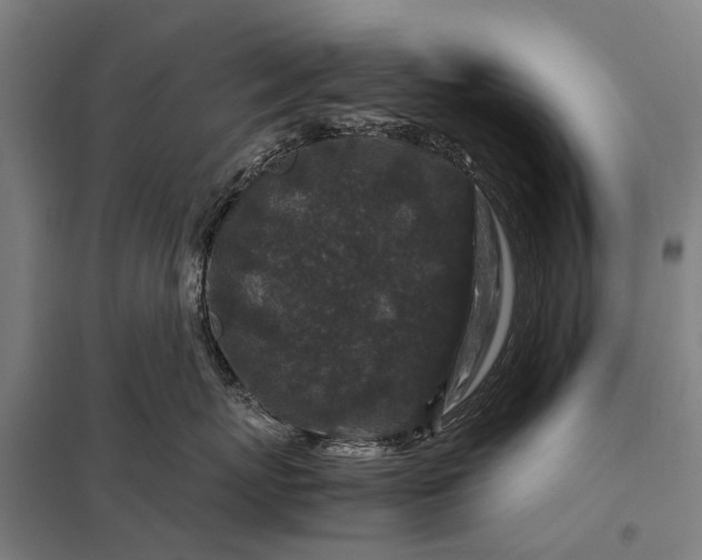 X0000097840767200803281224
