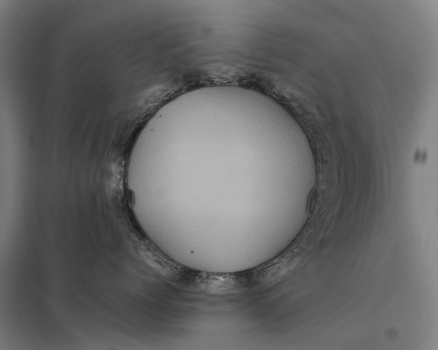 X0000097840768200803281224