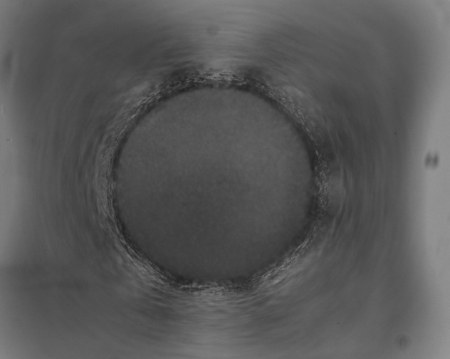 X0000097840769200803281223